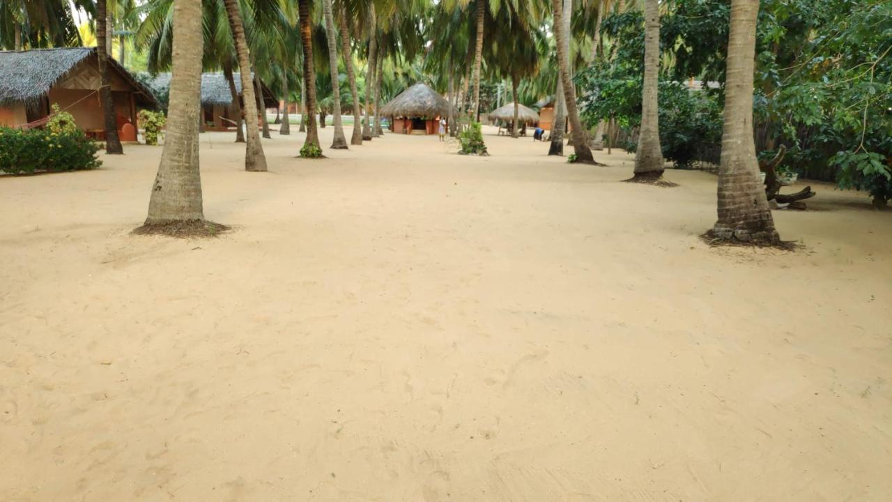 Roshanne Beach Resort Калпития Экстерьер фото