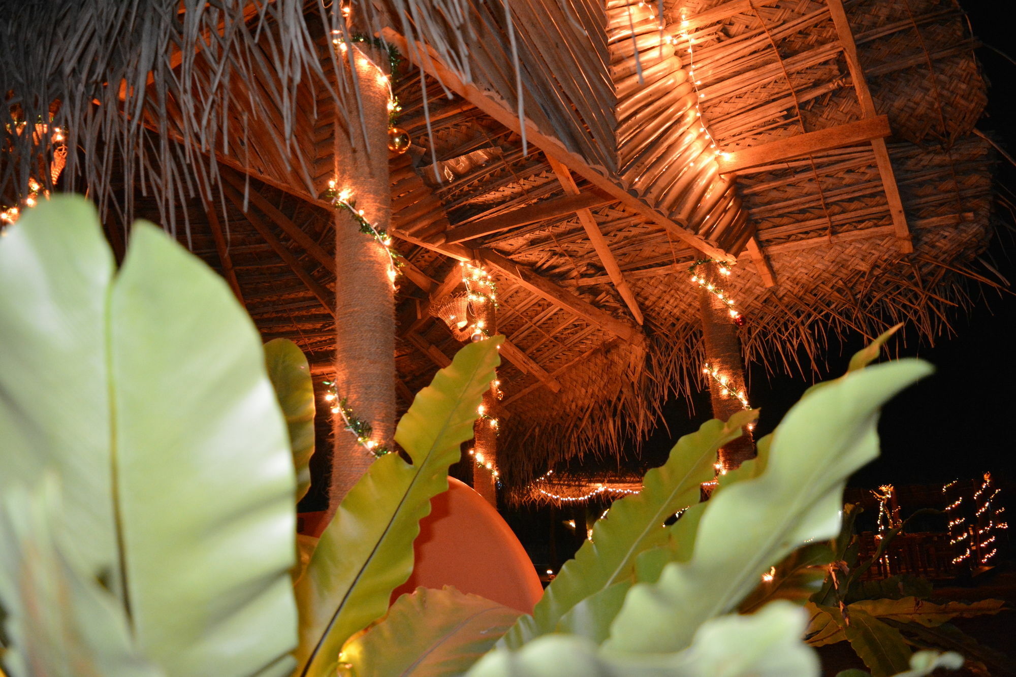Roshanne Beach Resort Калпития Экстерьер фото